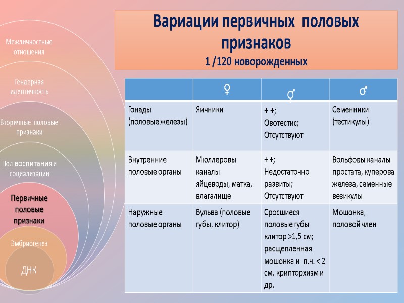 Вариации первичных  половых признаков 1 /120 новорожденных